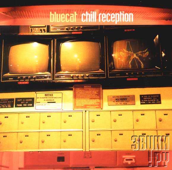 ОБЛОЖКА: Chill Reception