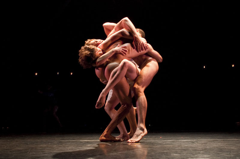 Pilobolus