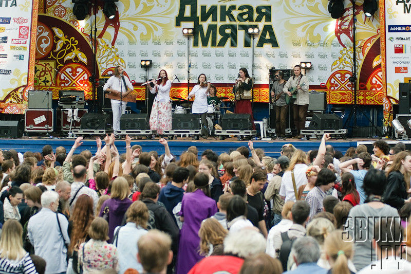 Дикая мята 2010