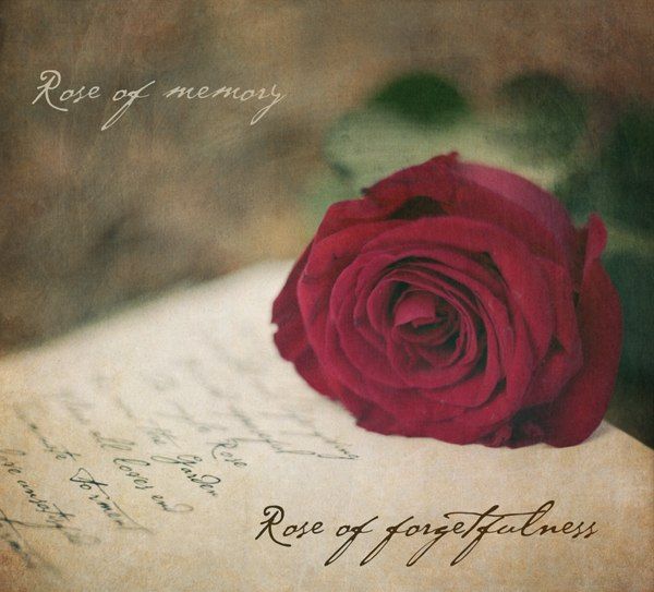 Обложка сборника Rose of Memory, Rose of Forgetfulness